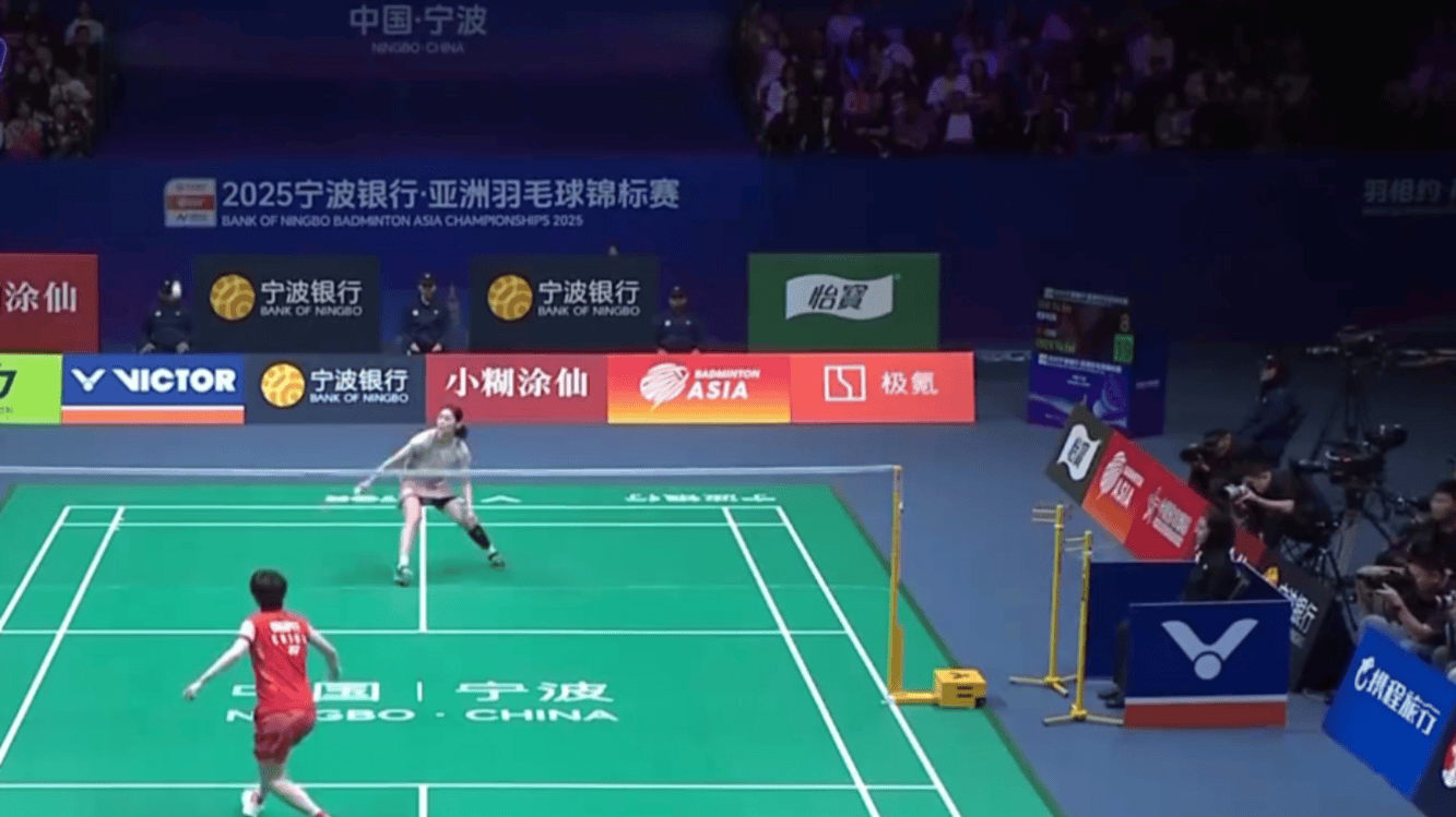 的情感投入 的情感投入